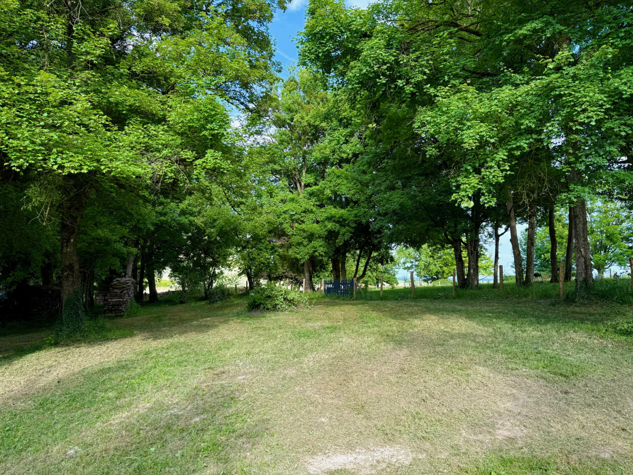 Image_4, Terrain, Javernant, ref :7485