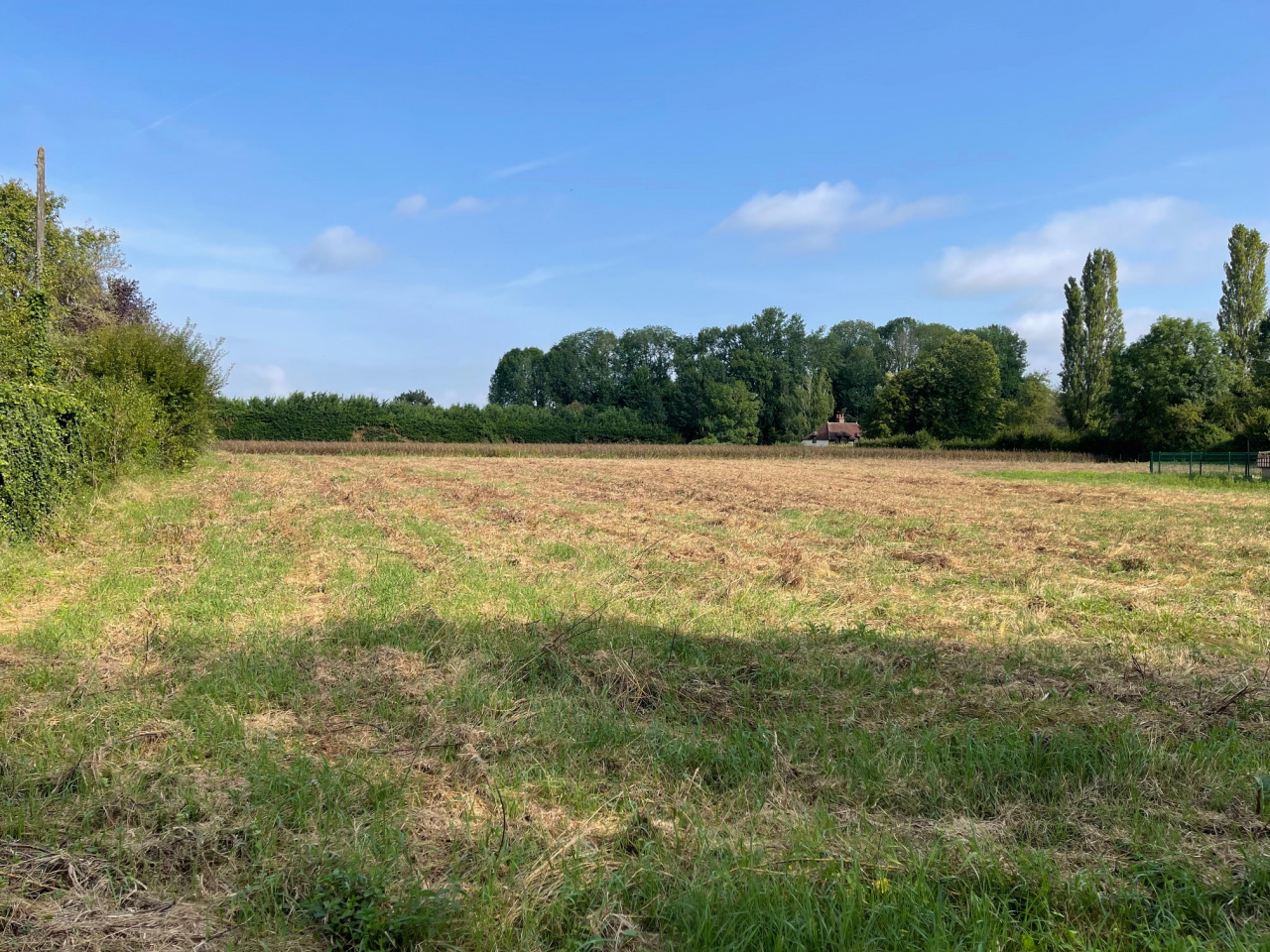 Image_3, Terrain, Villemereuil, ref :7376