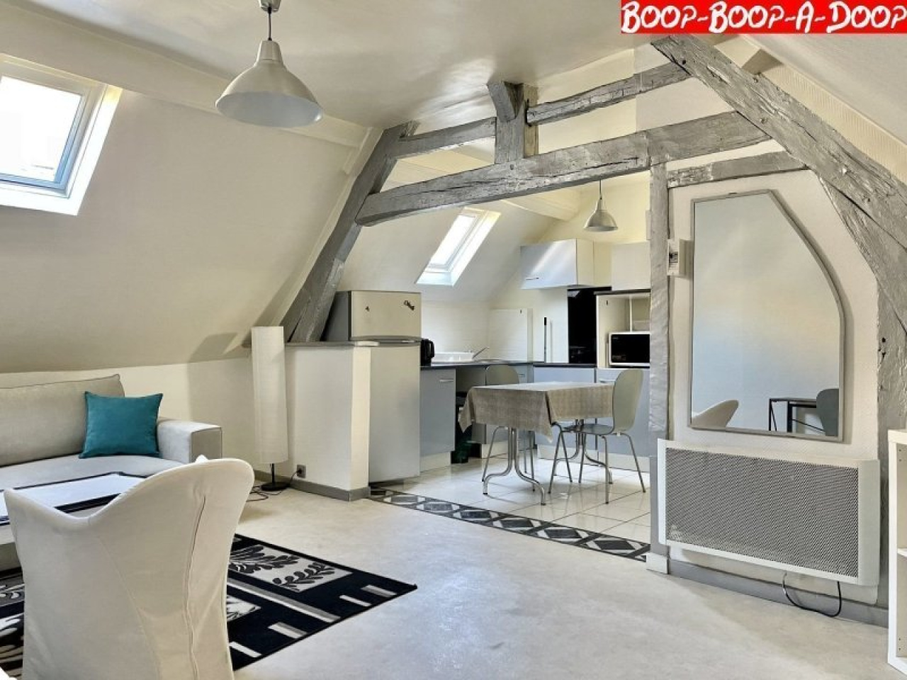 Image_1, Appartement, Troyes, ref :1001136