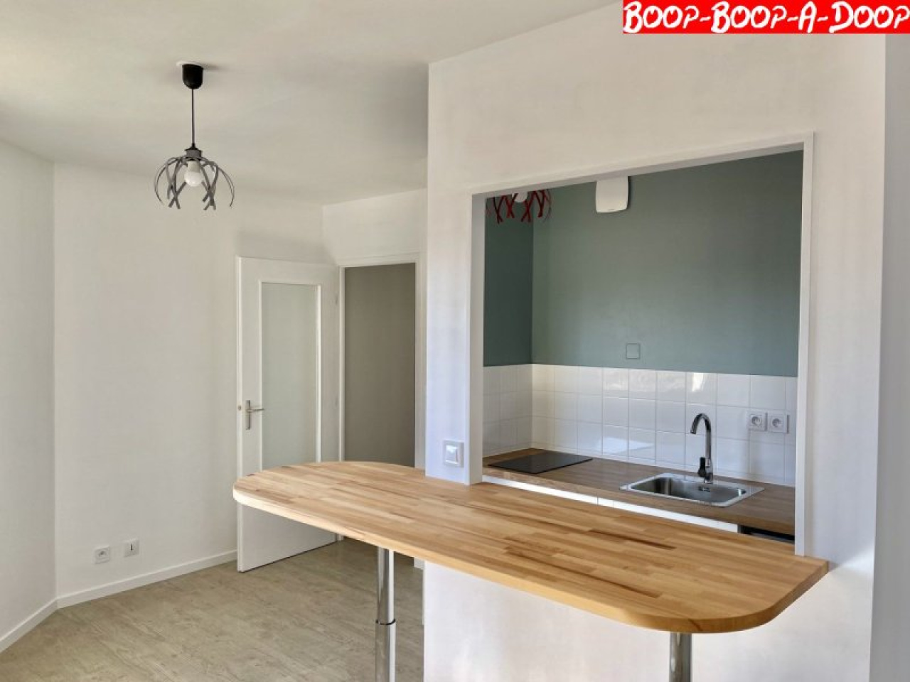 Image_1, Appartement, Troyes, ref :1001283