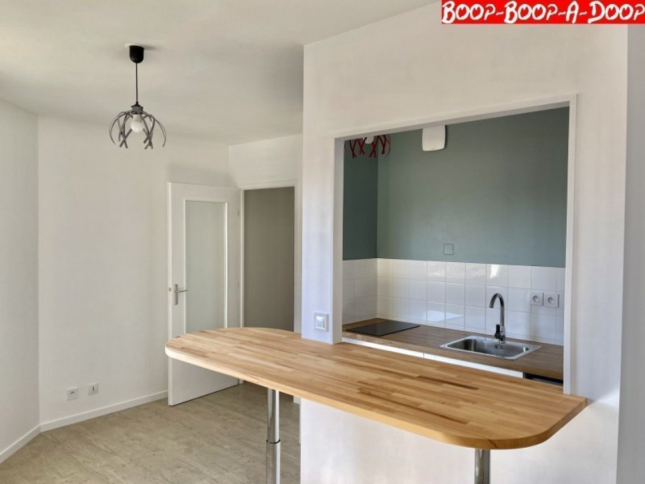 Image_1, Appartement, Troyes, ref :1001283
