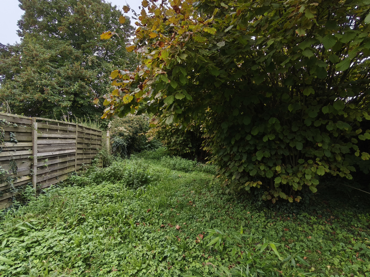 Image_11, Immeuble, Bréviandes, ref :7588