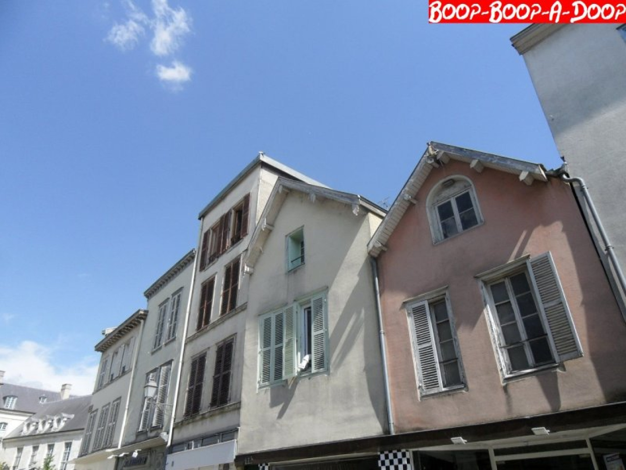 Image_1, Appartement, Troyes, ref :1001209
